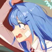 SodiumGUI